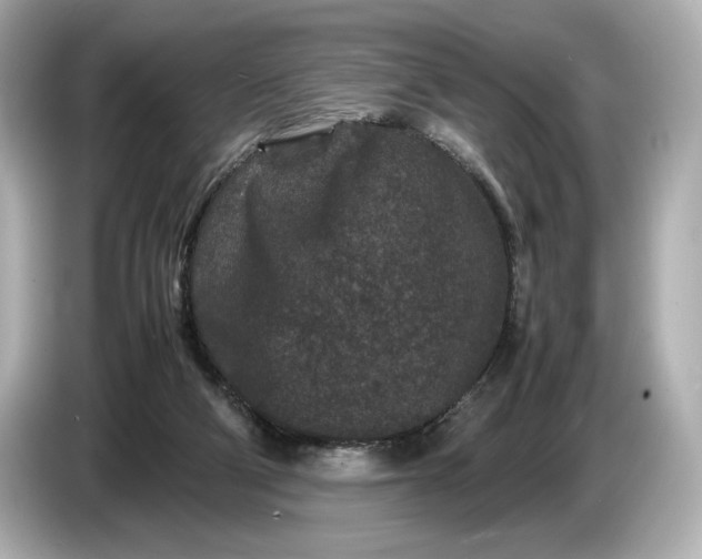 X0000086960114200704301245
