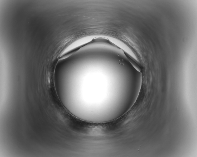X0000086960115200704301245