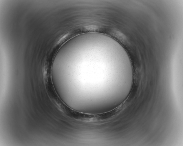X0000086960116200704301245