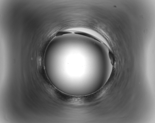 X0000086960117200704301245