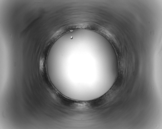 X0000086960118200704301245