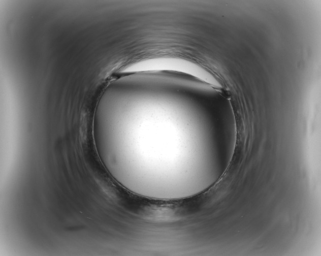 X0000086960120200704301245