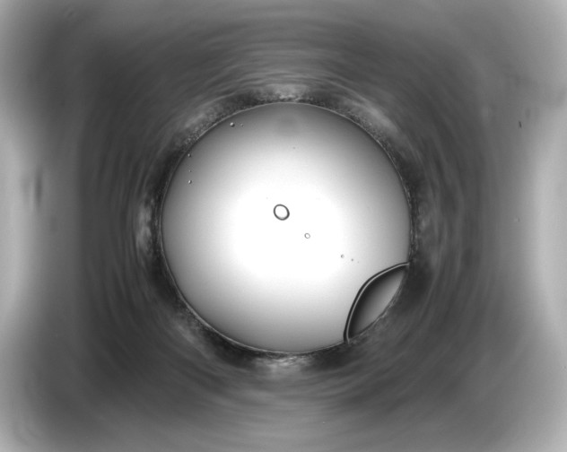 X0000086960122200704301245