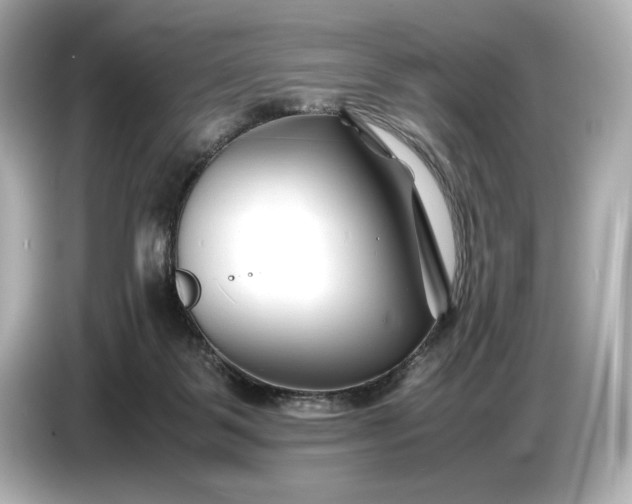 X0000086960123200704301245