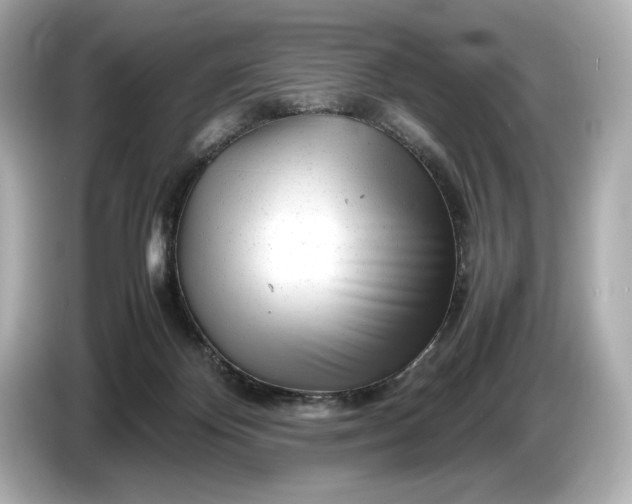 X0000086960124200704301245