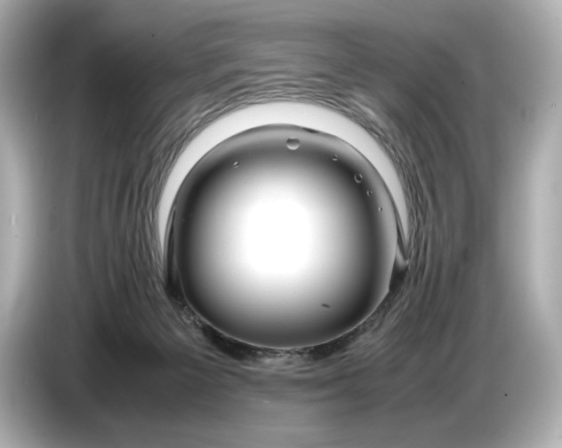 X0000086960125200704301245