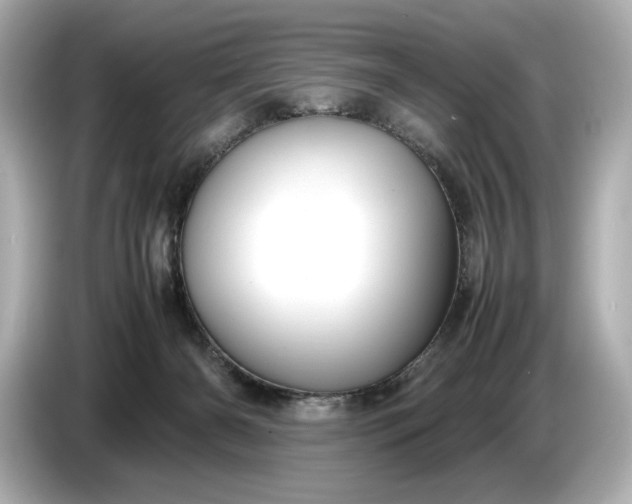 X0000086960126200704301245