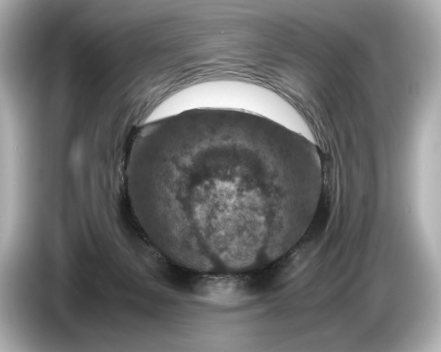 X0000086960127200704301245