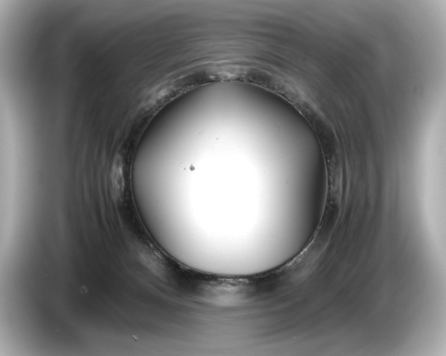 X0000086960128200704301245