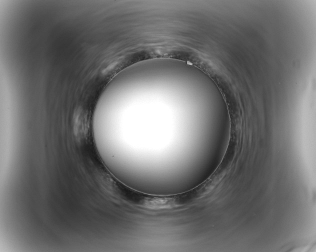 X0000086960129200704301245