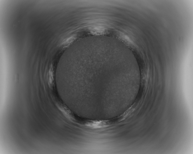 X0000086960130200704301245