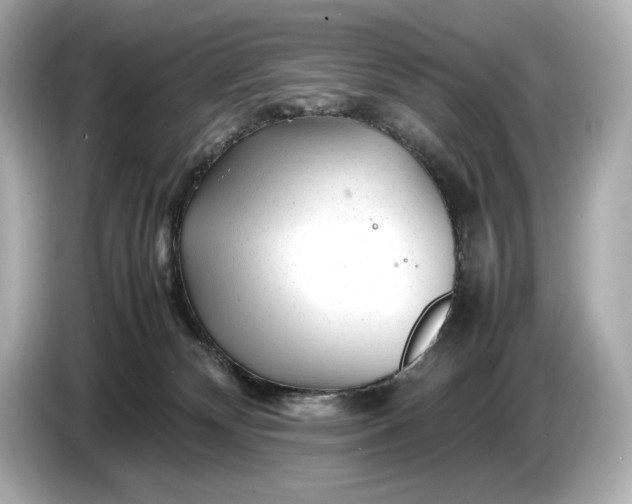 X0000086960132200704301245