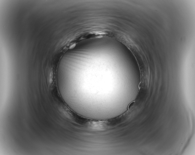 X0000086960134200704301245