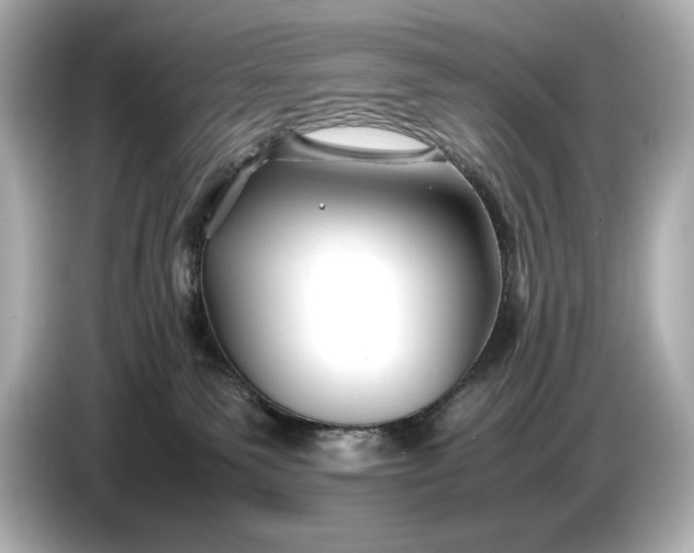 X0000086960135200704301245
