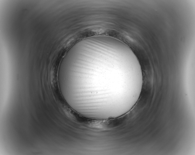 X0000086960136200704301245
