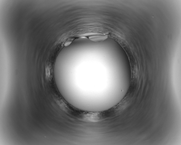 X0000086960138200704301245
