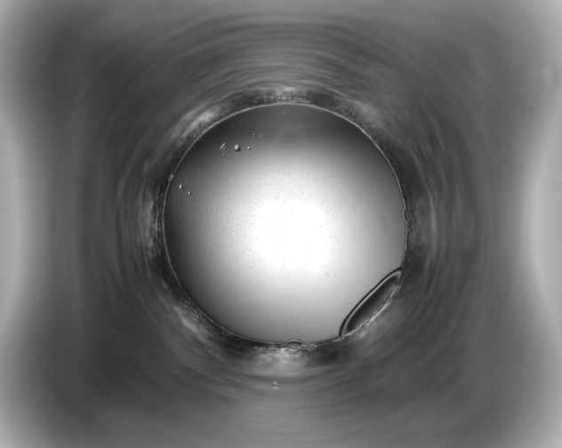 X0000086960140200704301245