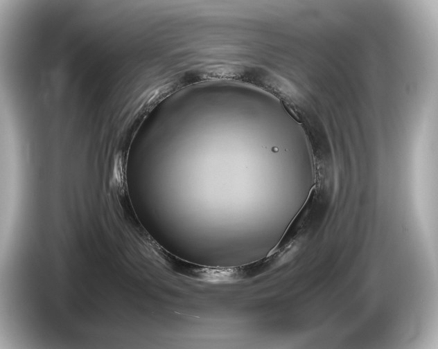 X0000086960143200704301245