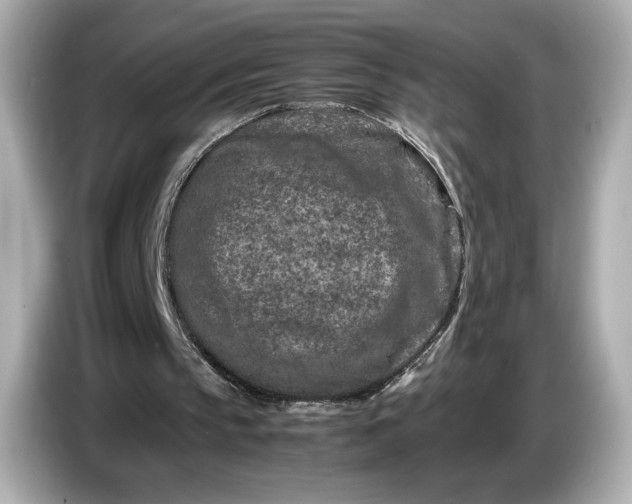 X0000086960145200704301244