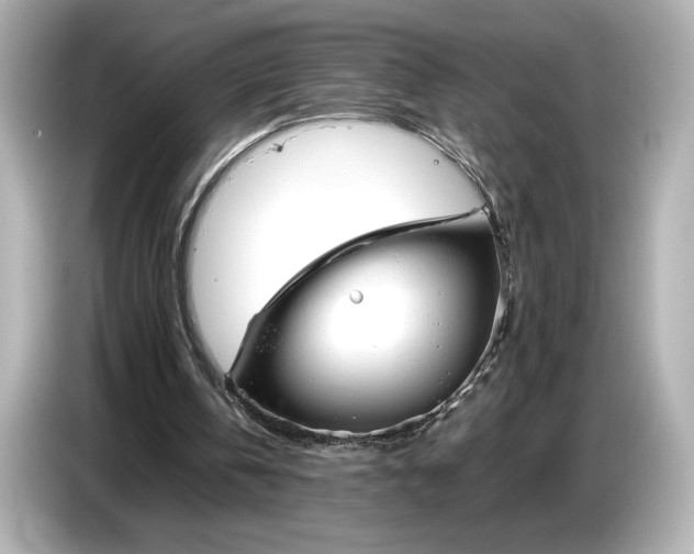 X0000086960146200704301244
