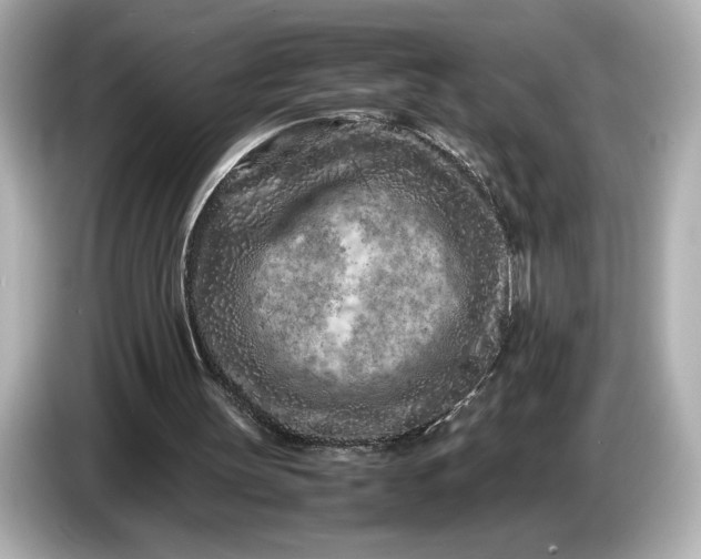 X0000086960147200704301244