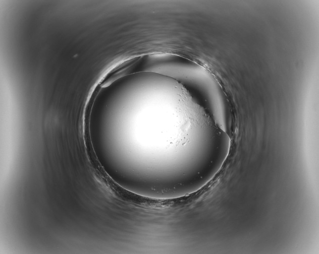 X0000086960148200704301244