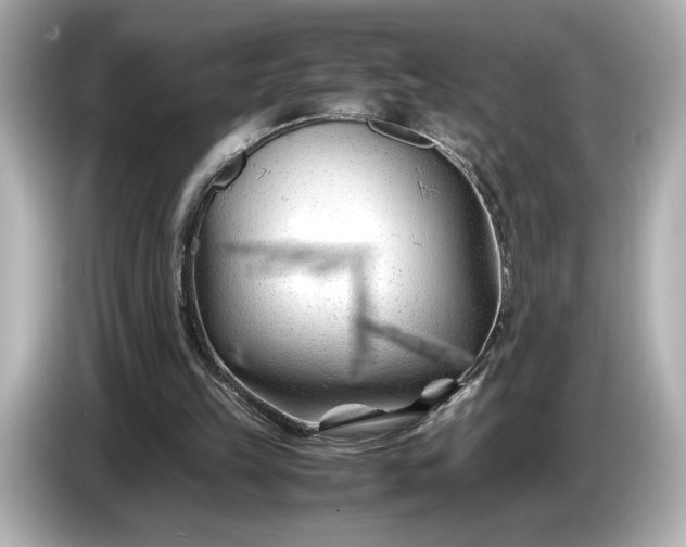 X0000086960149200704301244