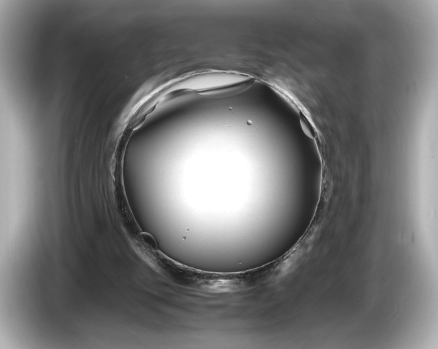 X0000086960151200704301244