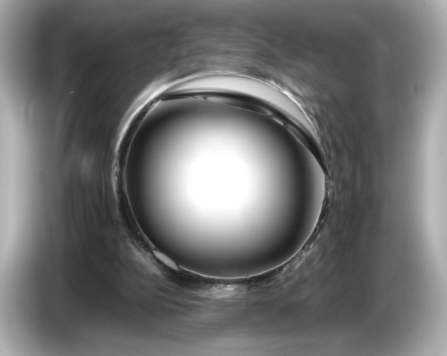 X0000086960152200704301244