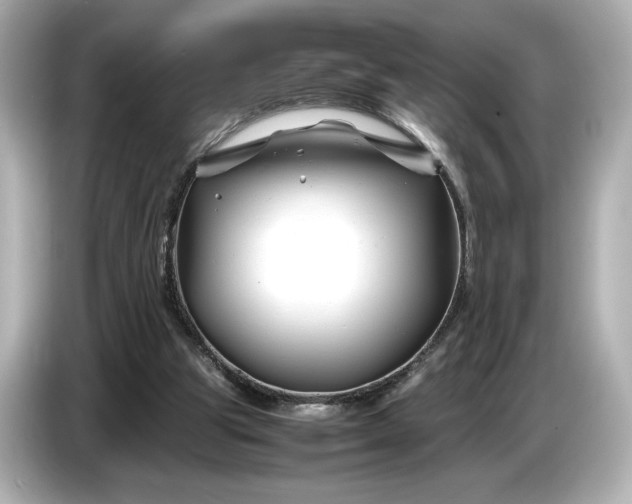 X0000086960153200704301244