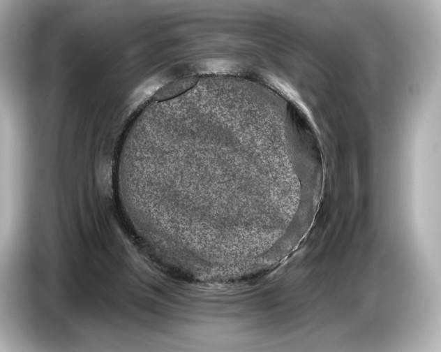 X0000086960154200704301244