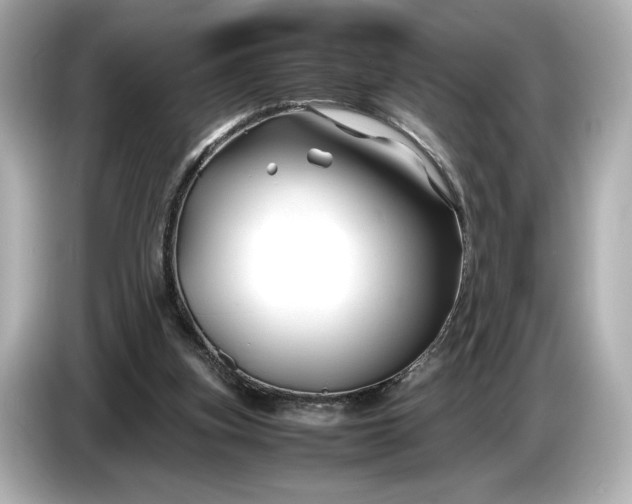 X0000086960155200704301244