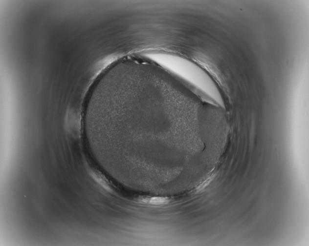 X0000086960156200704301244