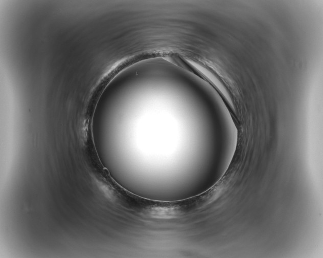 X0000086960160200704301244