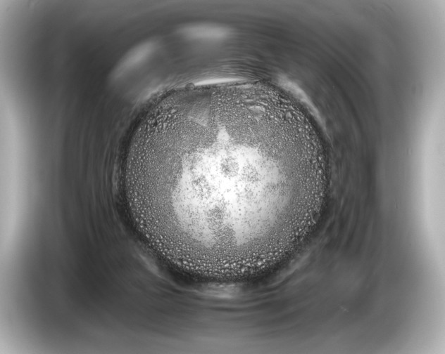 X0000086960161200704301244