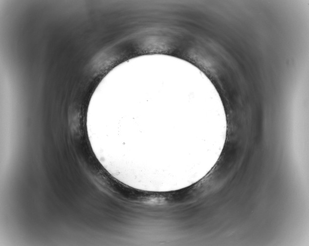 X0000086960162200704301244