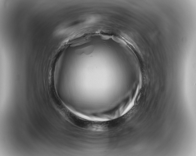 X0000086960163200704301244