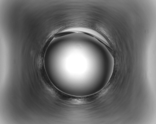 X0000086960164200704301245