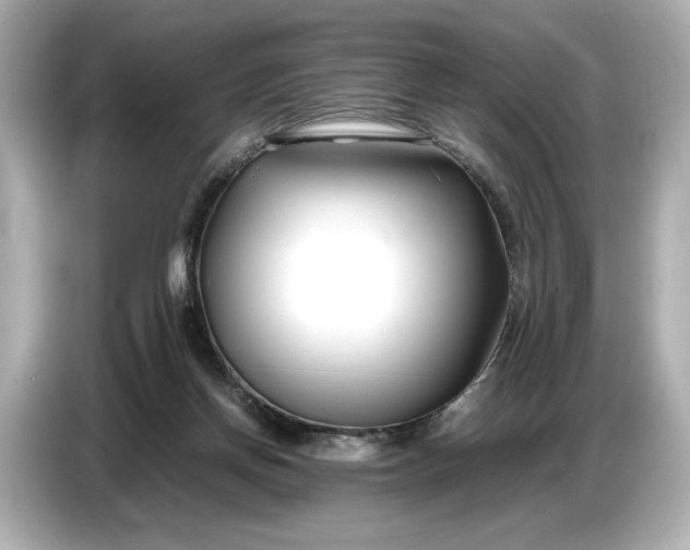 X0000086960166200704301245