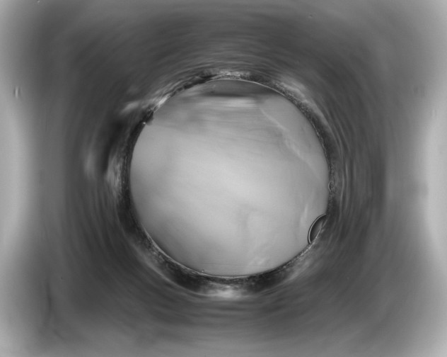 X0000086960167200704301245