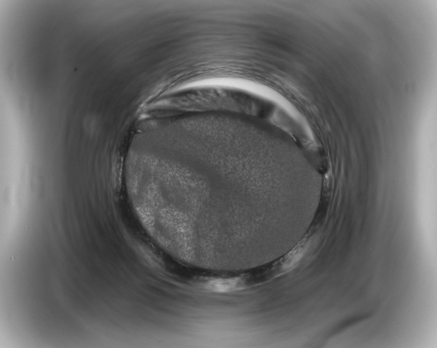 X0000086960168200704301245
