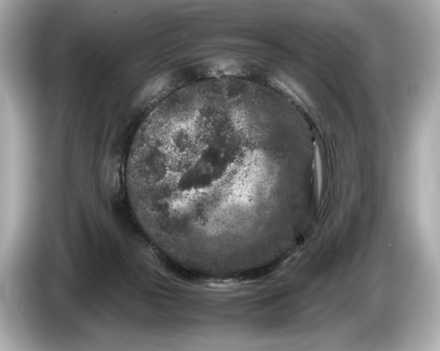 X0000086960169200704301245