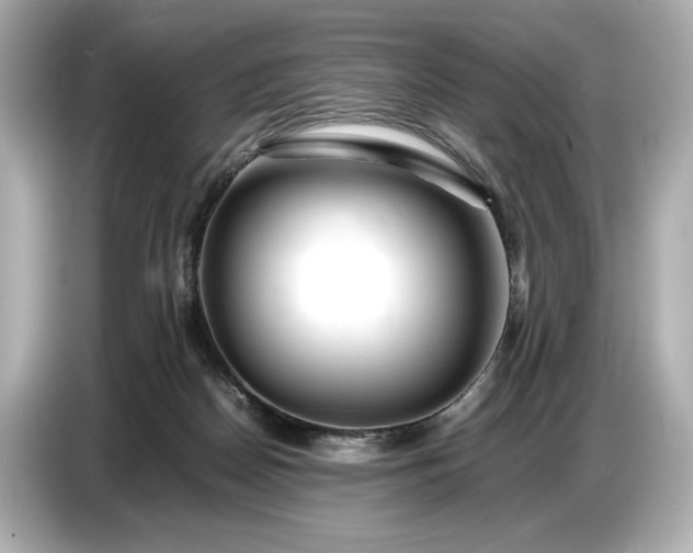 X0000086960170200704301245