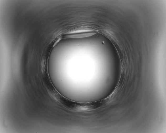 X0000086960171200704301245