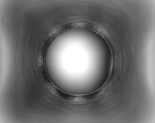 X0000086960173200704301245