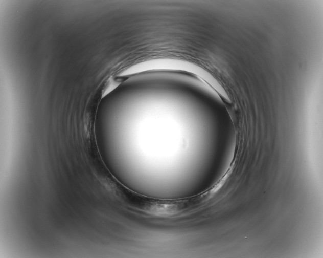 X0000086960174200704301245