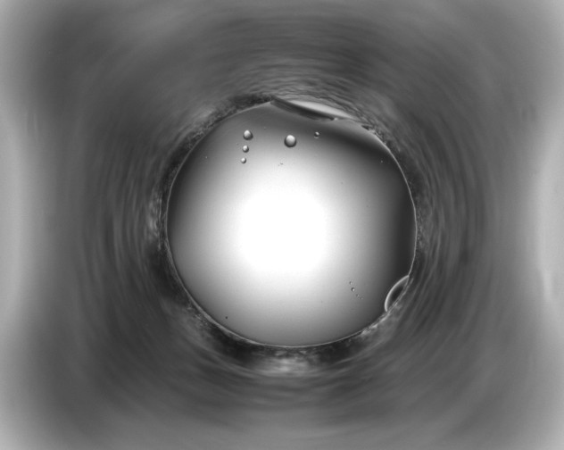 X0000086960175200704301245