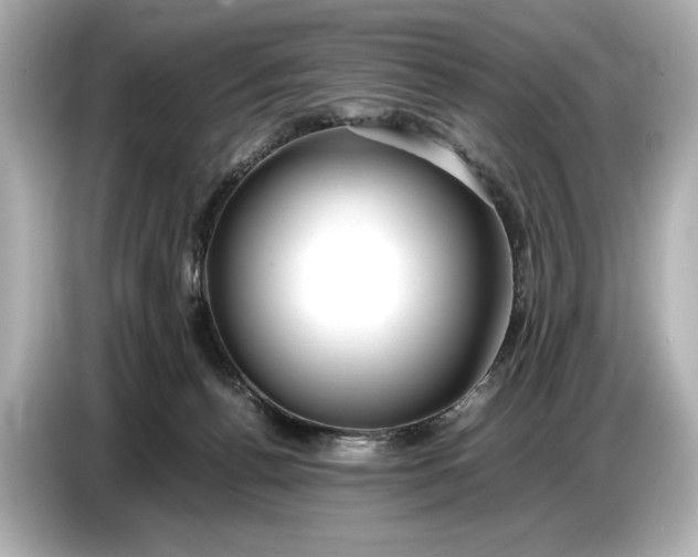 X0000086960176200704301245