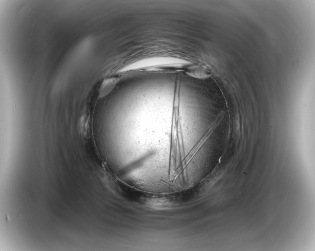 X0000086960177200704301245