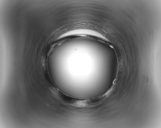 X0000086960178200704301245